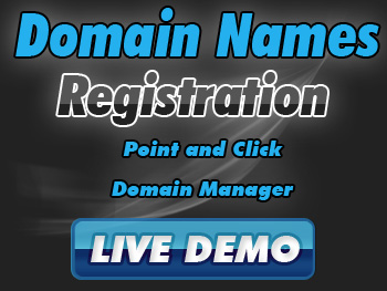 Economical domain name service providers